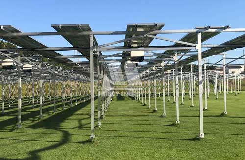 光伏蔬菜大棚有什么優(yōu)點(diǎn)？建設(shè)時要注意什么？