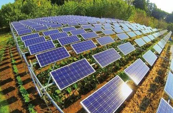 建設農(nóng)光互補光伏電站有什么好處？