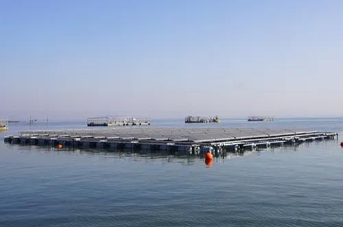 破局！海上光伏“探路者”