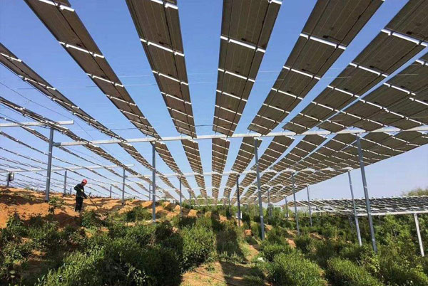 農(nóng)光互補項目的模式及建設流程