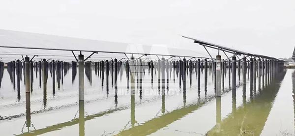 廣東開平 50MW漁光互補(bǔ)項目